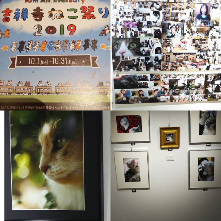 7c0efd13 1180 43b6 8fac 64270f3470d5 1572071661332