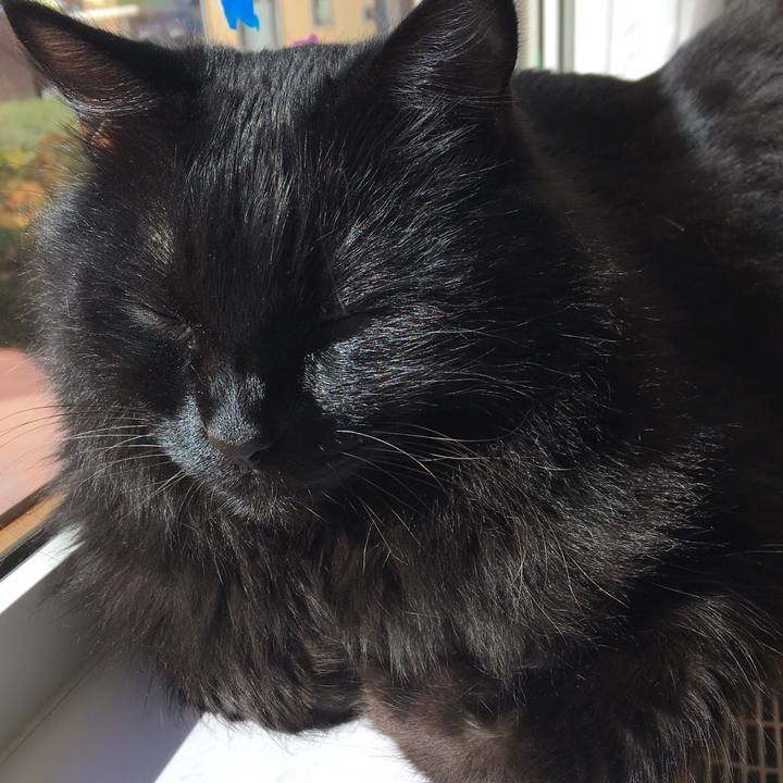 7c0effef 1518 483f 8188 7b9c0eedb26f 1541122850076