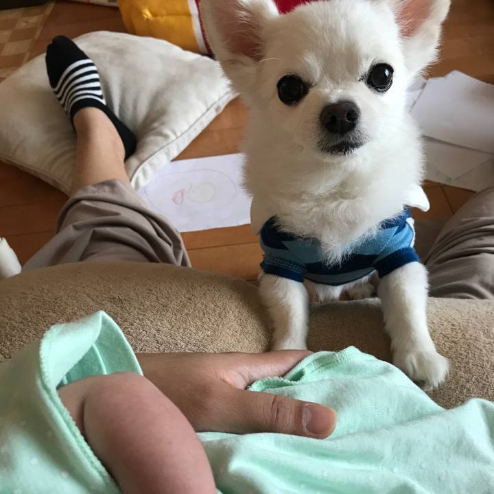 7c0f1d45 83ae 4db2 b3e2 0eed3188aa1e 1508718067173