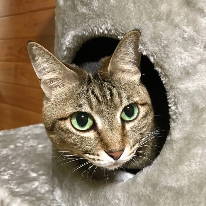 7c0f5b17 f925 402c 83fd b9d39704919f 1515937652168