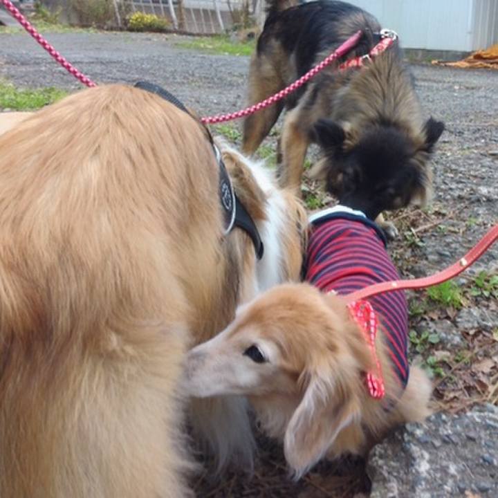 7c0f9a89 e561 44a8 b915 5f21d5b5319d 1615028674990