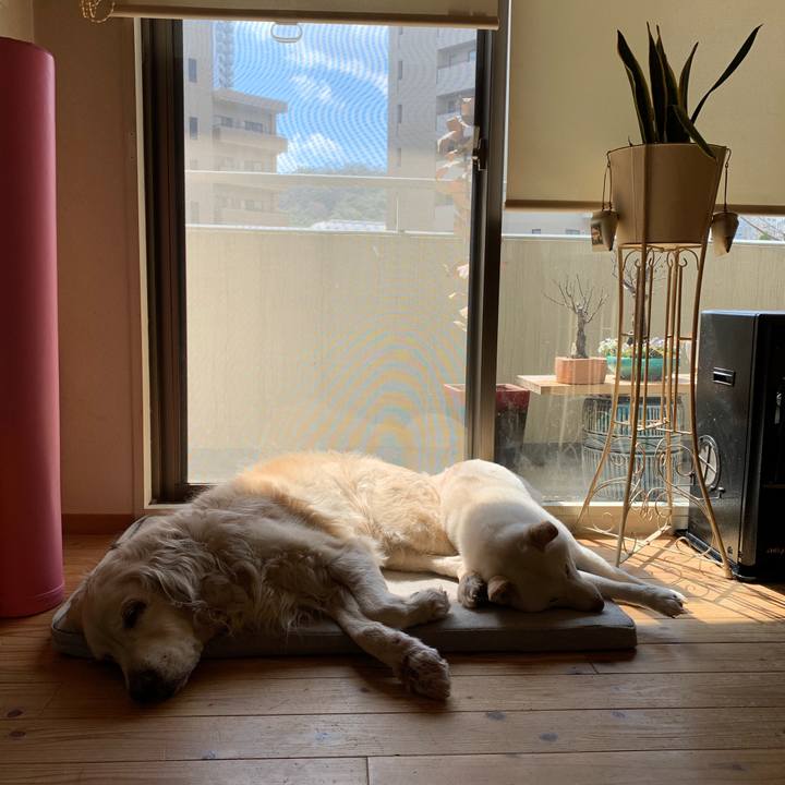 7c0fde3a f4f3 4f5c 8981 75e2c4b8ec9d 1552796735527