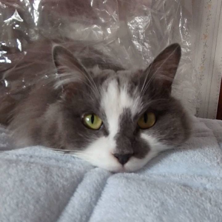 7c10174b 539d 4261 a2d9 41b17e43603e 1651465959488