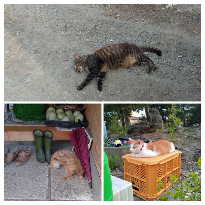 7c1048ee ccb2 4b39 a2bd 45cfd17db1b0 1754298771633