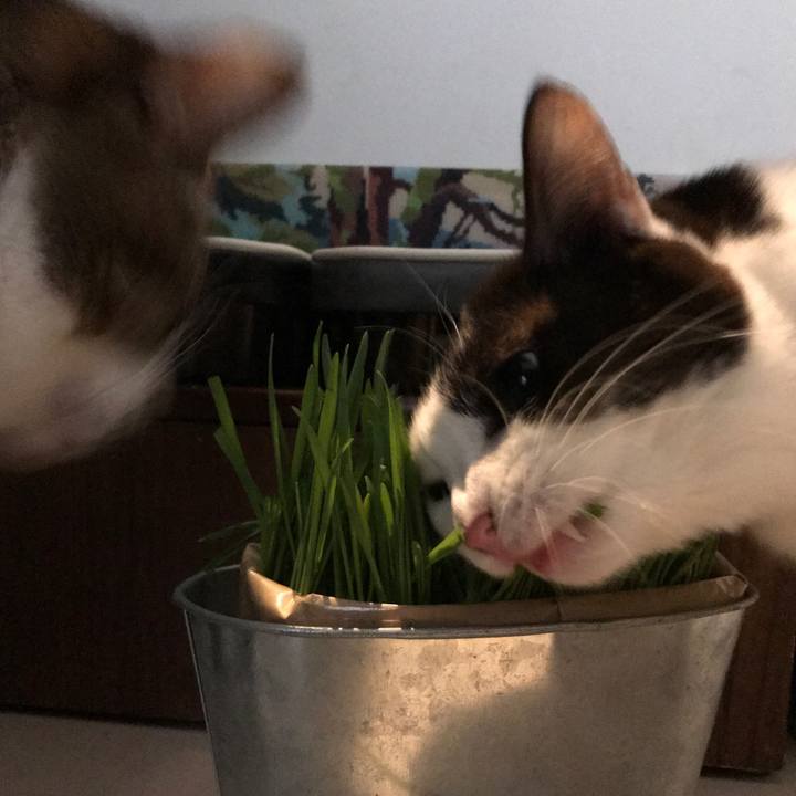 7c1050ab fe8b 429e be78 c2c2988d58ff 1580779235079