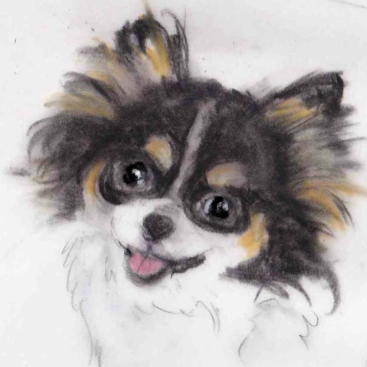 7c105b4a a006 4b56 ab56 5fd7b06192de 1631892655307