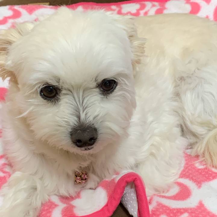 7c10947a b4d4 4dc3 bb95 e59da903e231 1643888834240