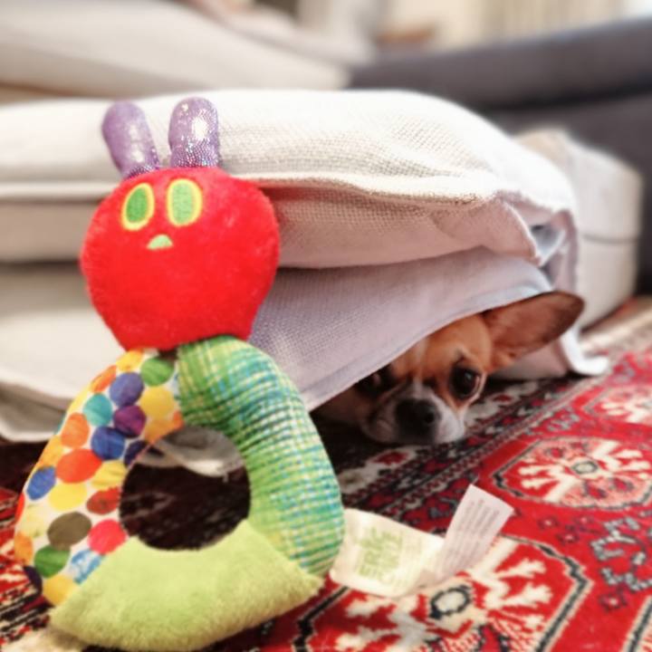 7c109a59 bbab 47e6 a028 70db2d848503 1572423665961