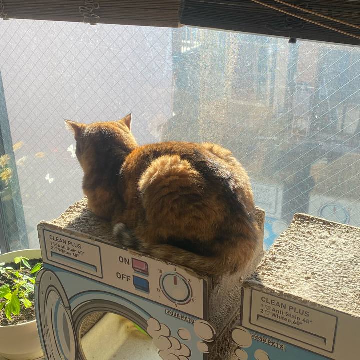 7c109e16 d3ab 4c11 a2dc 37d249d8878a 1734137214878