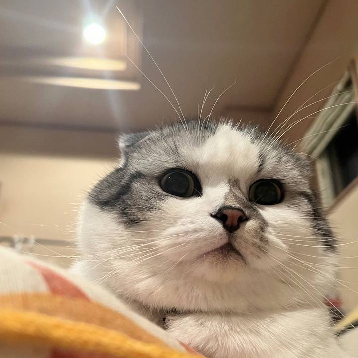 7c10bc7b c9dd 4eeb bc33 d197dc9fd26f 1737819511176