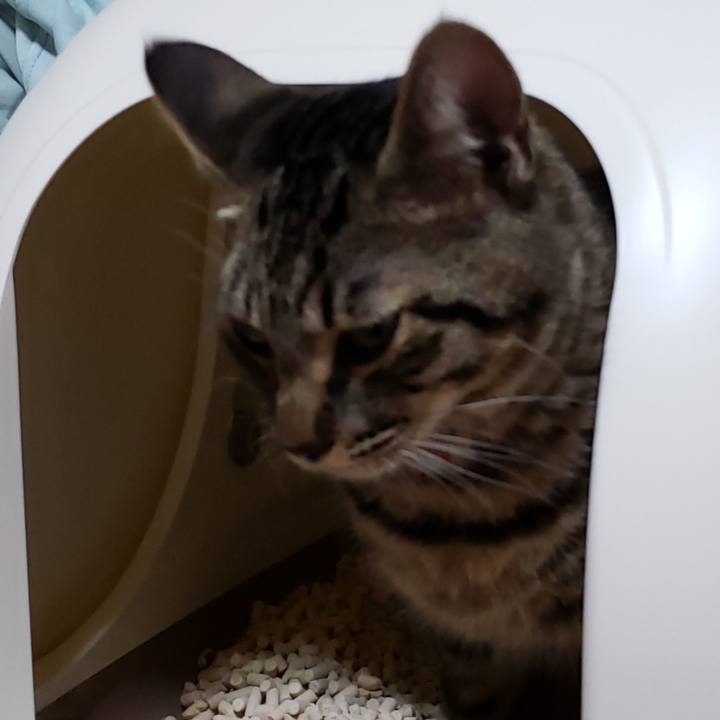 7c10dc5e 8cb6 4c1a 9947 b75f0af66b6b 1542694962319