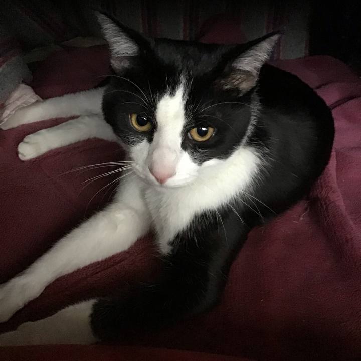 7c10e4ff 79cf 47bd b981 75bc2d29583b 1651199989213