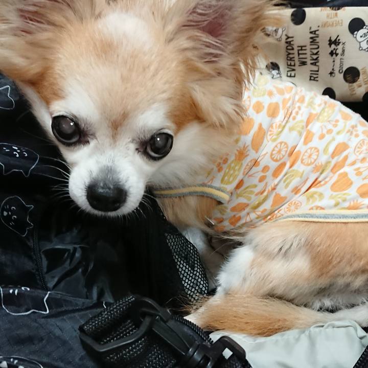 7c10f147 a67e 42af 98b1 529563ede4d3 1537086997793