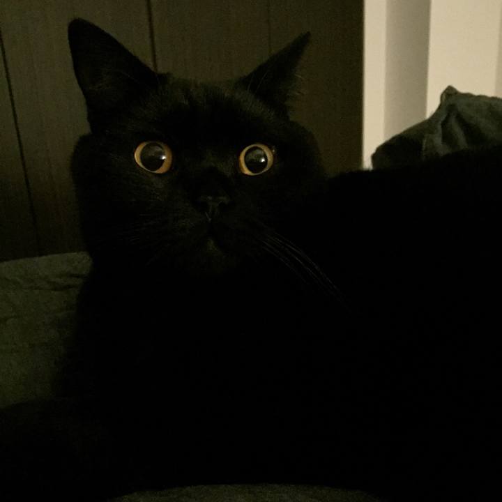 7c114dd0 7df7 4200 ac60 183b8d718c90 1542461010292