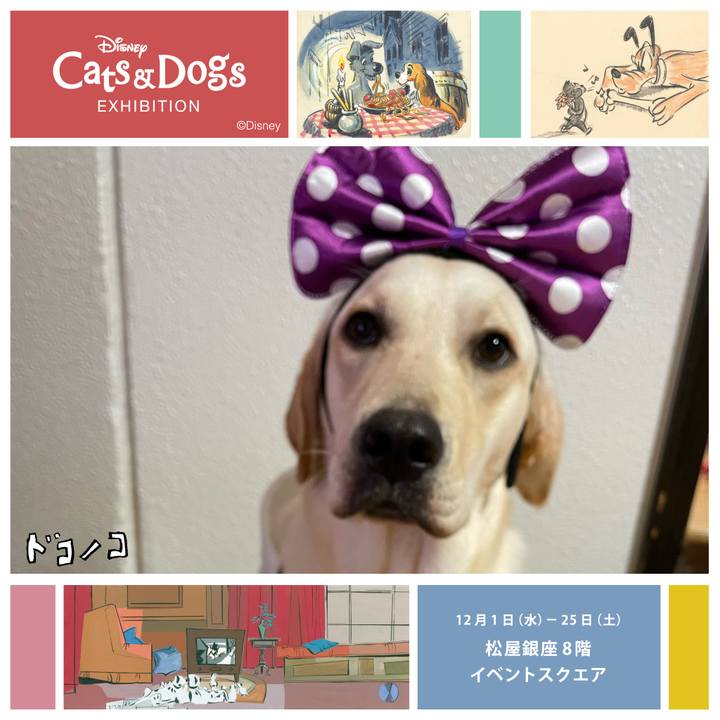 7c1175fa bf55 417d 9767 9fb5c507c457 1638444699820