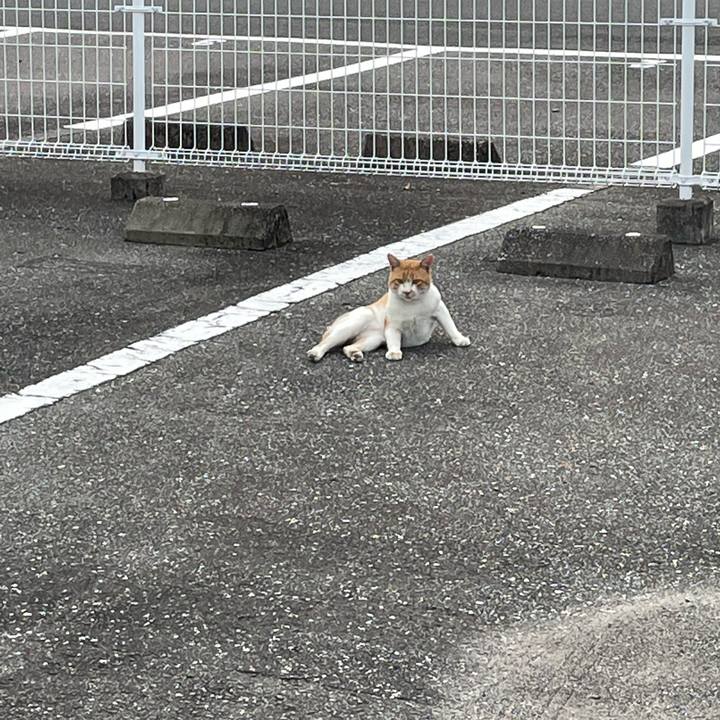 7c11b60f 80ff 44a7 90e9 f41163eee24b 1665921459393