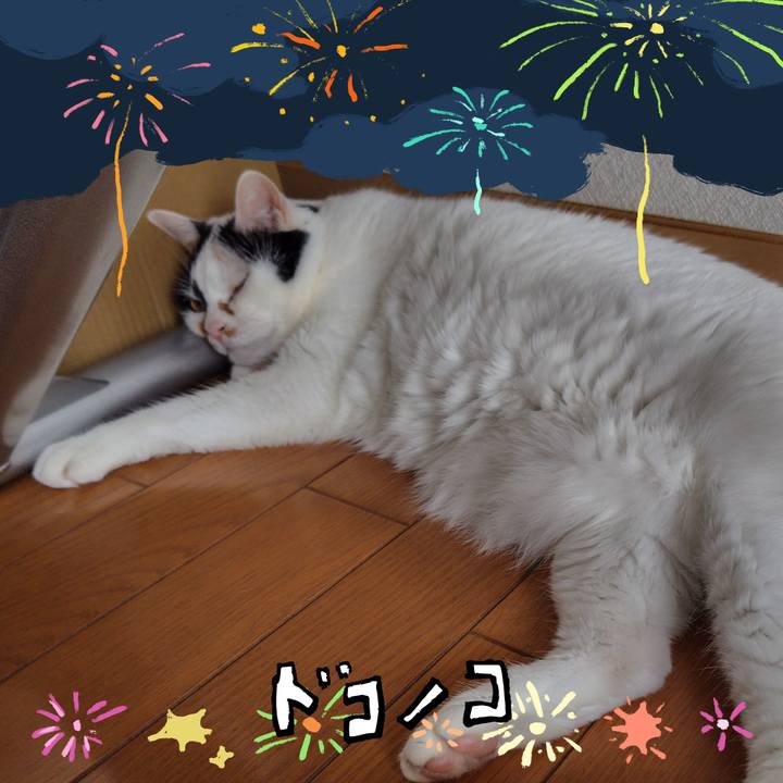 7c11bed8 f288 448b bb1c 44e21b7c1903 1723178464637