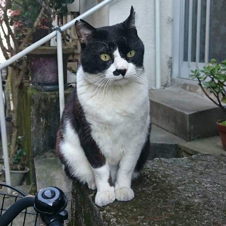 7c11dc0b 6dc9 48dd 8a15 28031fc3bcde 1514008475800