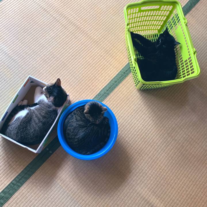 7c120efd 261f 47b7 bdab e77c3f65d5c8 1568013981097