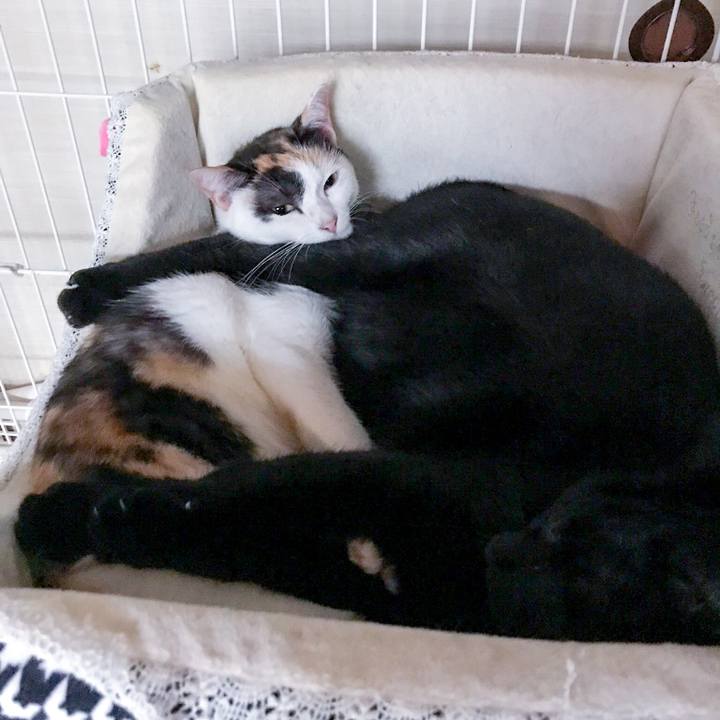 7c122392 b231 4f11 8a04 28fe666b78e6 1509151260447