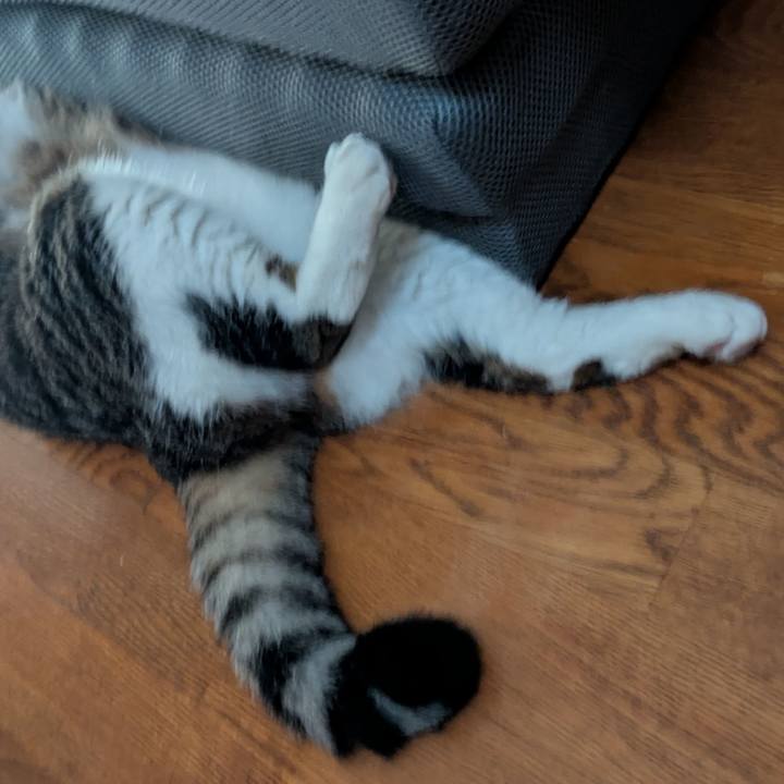 7c122a63 b03d 415c af18 adf3f1642f92 1758950371891