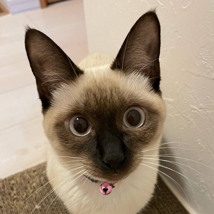 7c129152 933e 4174 b1fd c0a7aa41fe24 1699041998778