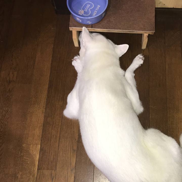 7c129587 0791 47e0 bce2 3a7b44680c0e 1530534351830