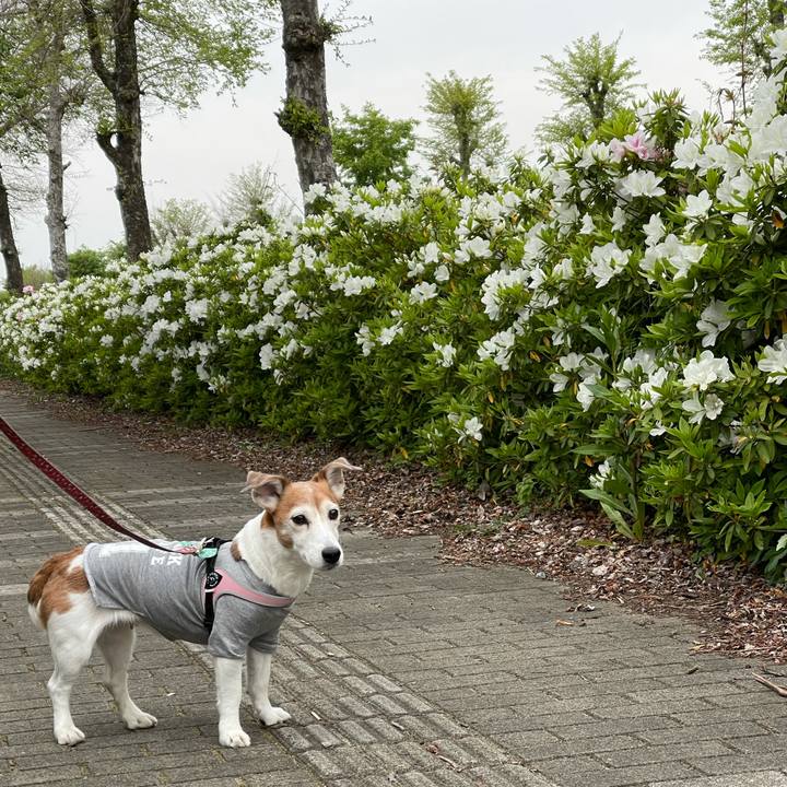 7c129daa b3e5 411c 8815 2c79aaa588a5 1619567973843