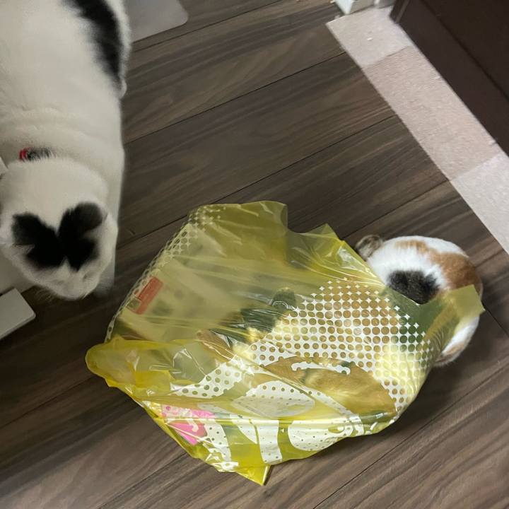 7c12cf46 10e8 492e be2e 502fa42369b1 1701611519087