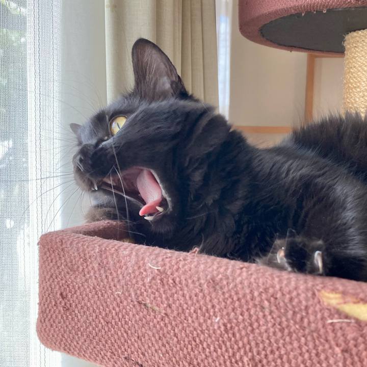 7c13225e 3e58 40a1 a793 759c126f4401 1716364227230