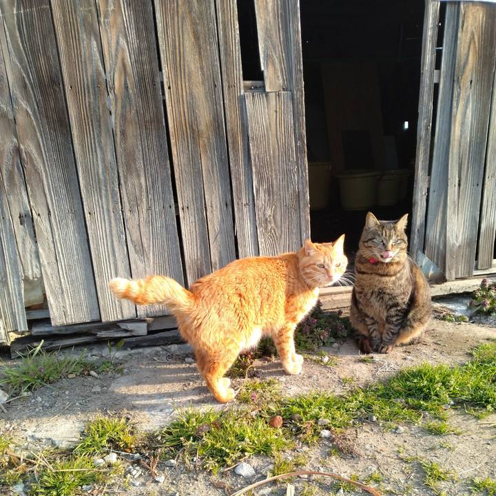 7c134186 6f5b 4b75 9f56 4593a726da89 1680216444918