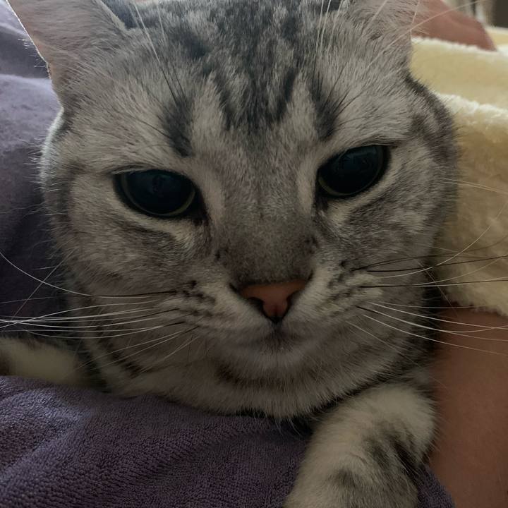 7c135674 6c38 49ce 80b4 b5fdb8c5631a 1621814833009