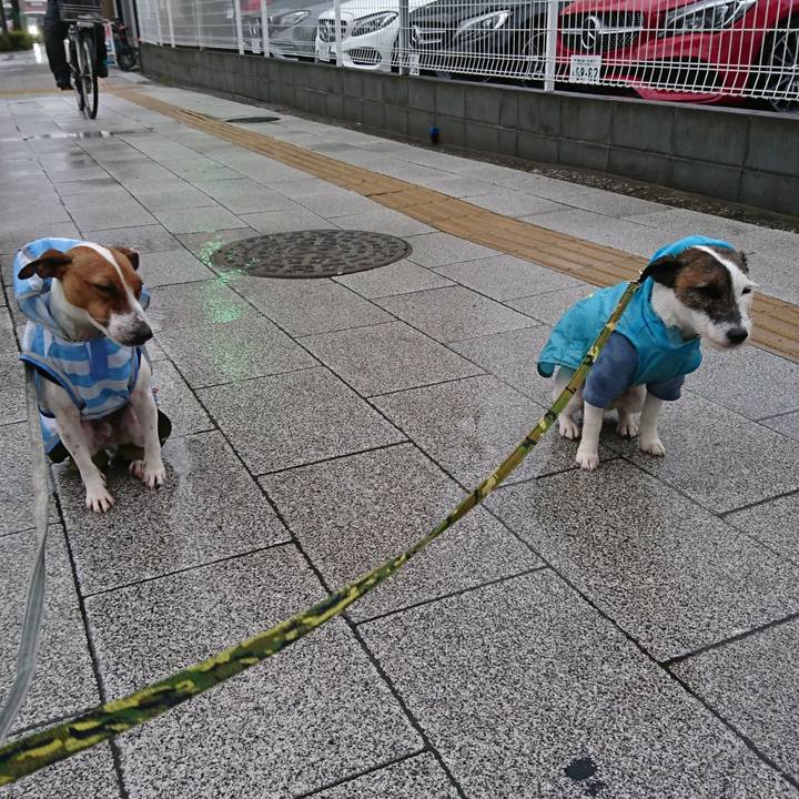 7c139259 b70c 4abc 9158 2e44341c3151 1552255742106