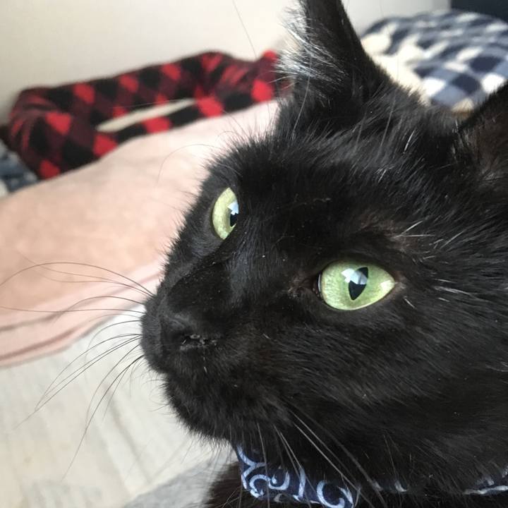 7c1396e6 5ccd 41ca b6c1 33895bb61be2 1552126524070