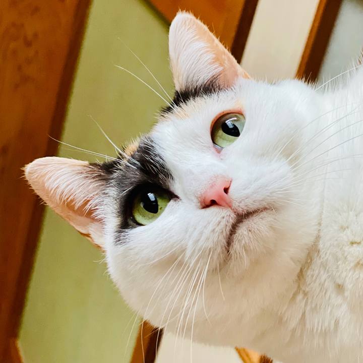 7c13b9b9 fa48 46a9 9751 bb3e1534b927 1616466955956