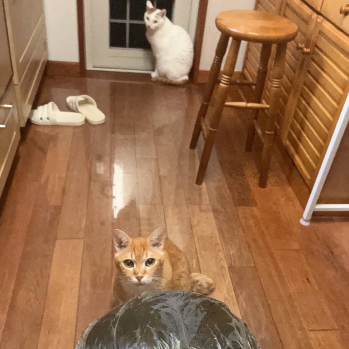 7c13bad8 8f35 4688 a3bc 8ea56fd7f3c9 1685620781241