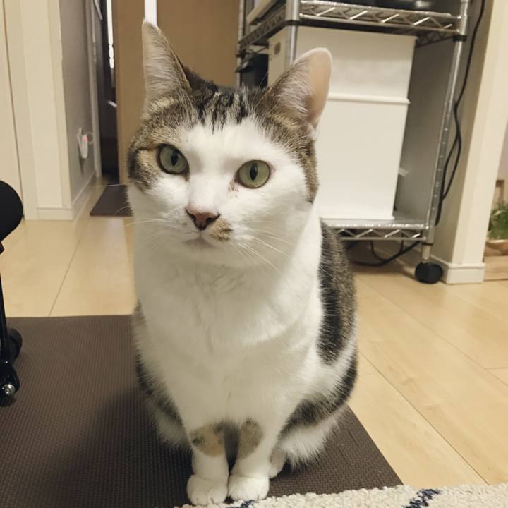 7c13d924 f805 408f acf2 9155f1456067 1516592516077