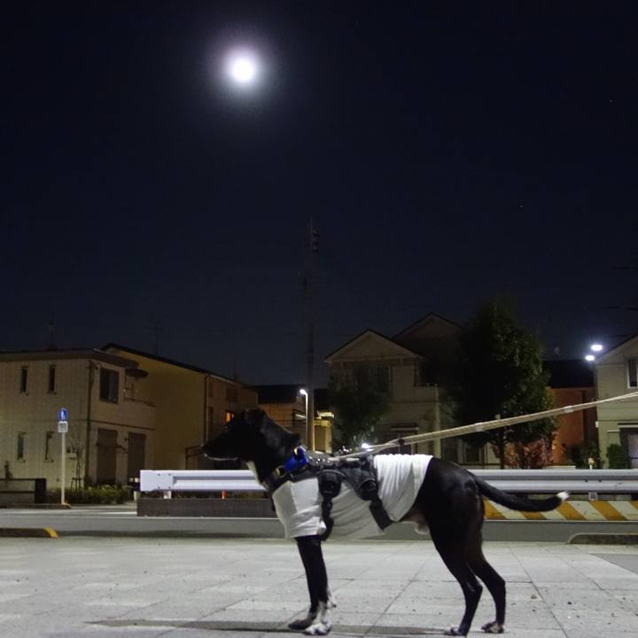 7c13e462 01ba 4eb5 bd2d 88c9630ac17a 1639911891793