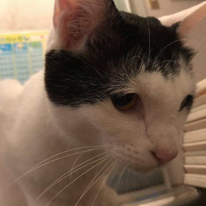 7c13fb95 eb46 4106 b53c 7372a5cbae20 1508505669900