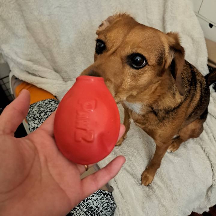 7c140766 d635 4f28 95e9 891e2f432def 1762986439455