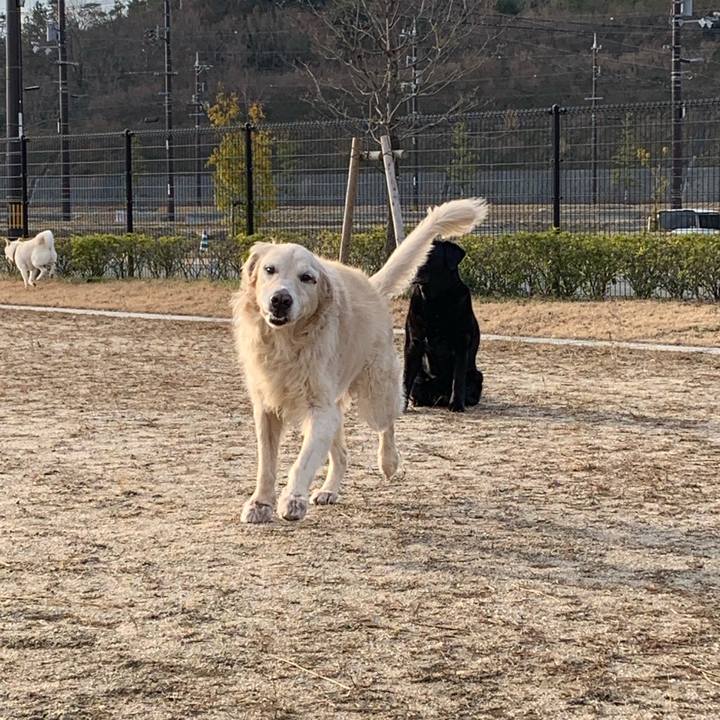 7c1462a5 553a 4e46 a6e1 aeb3f34e34dd 1551510242612