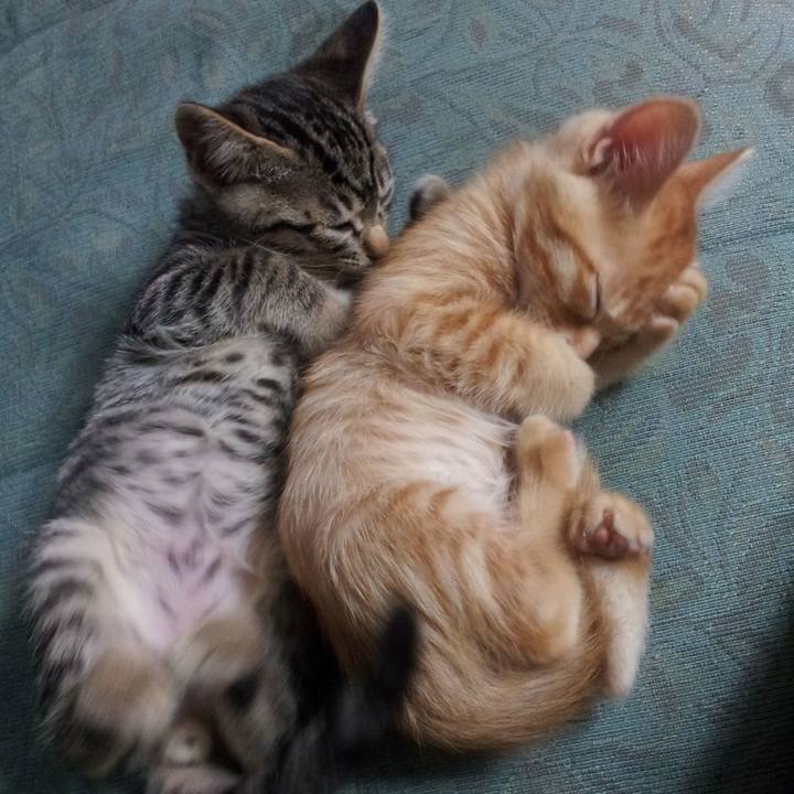 7c146918 4585 4498 a0b6 1a9f03f8448b 1651064781833