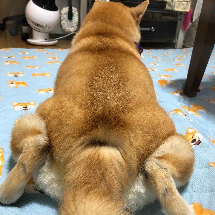 7c1478d7 7ea5 45ec 9a50 37429e061816 1572350150104