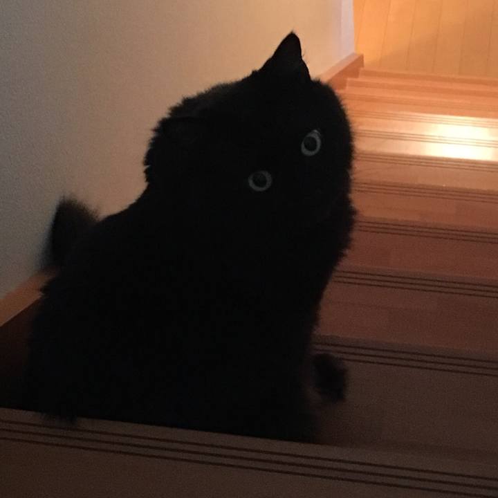 7c1492c0 374b 4609 a84b 6b4ea815c044 1531437585901