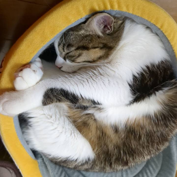 7c1493a9 92ef 48c5 ac7b 916bf2503d70 1671683683927