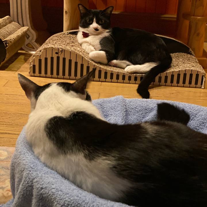 7c1496b7 7dbc 479f 942e 6b84a5b35e2a 1579704672155