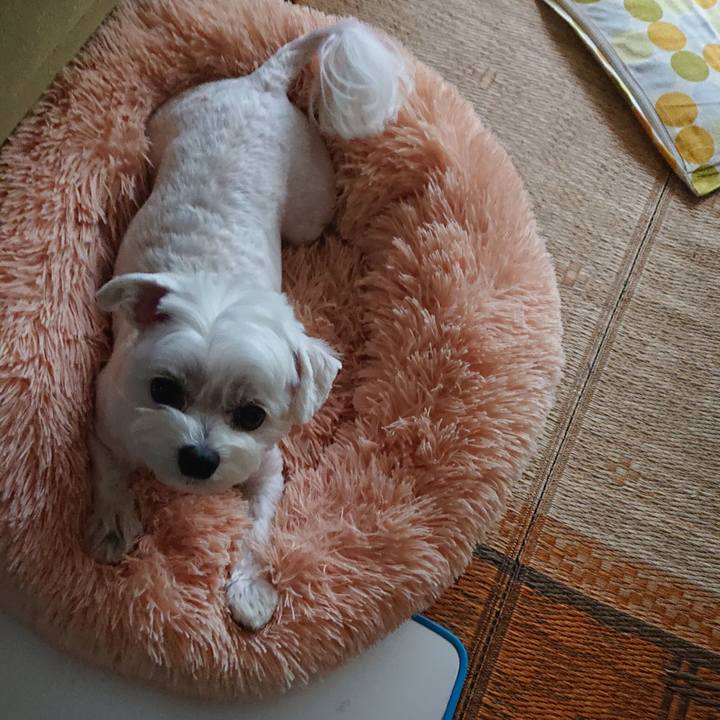 7c14b12e 2f16 47d2 a303 19ef1e932093 1595741010785