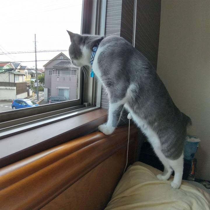 7c14e6dd 9fff 4126 b4a0 e7c5ef3fdbaf 1597975520807