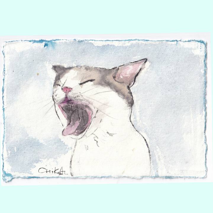 7c14eef5 a150 4053 972f ececbe16f04a 1766798989811