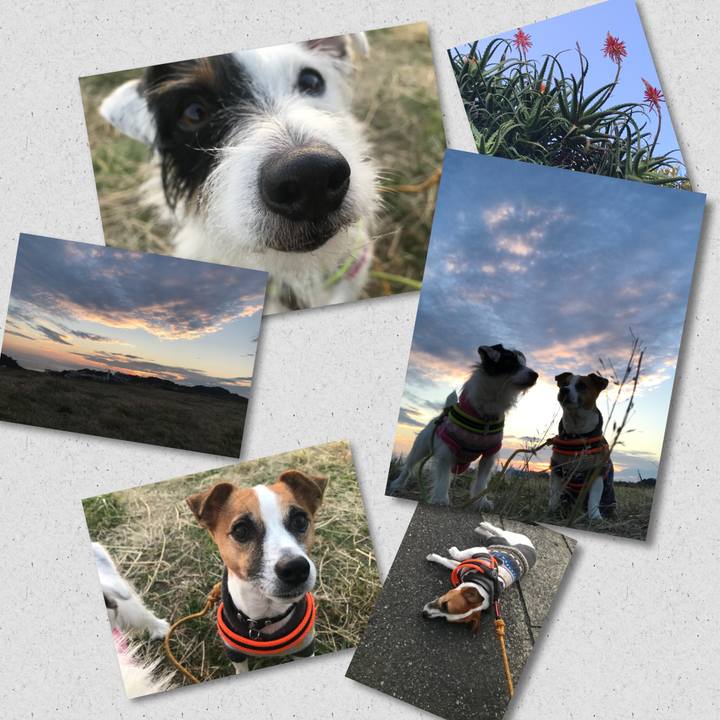 7c14fb53 422f 4eef 9ca9 cfefa6f14ece 1511943587484